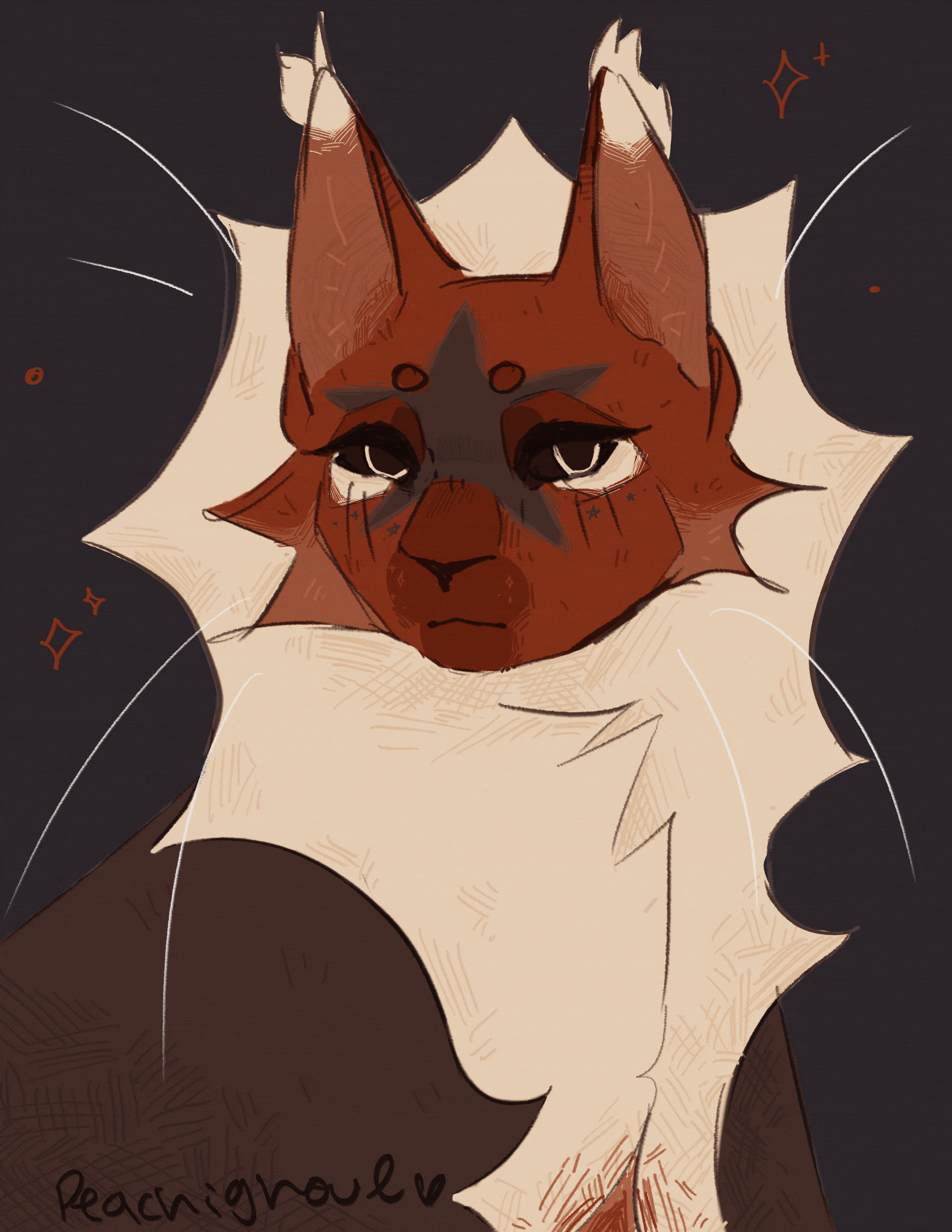 Catmacaroni's character