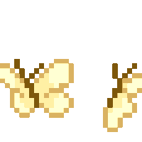 butterflies!